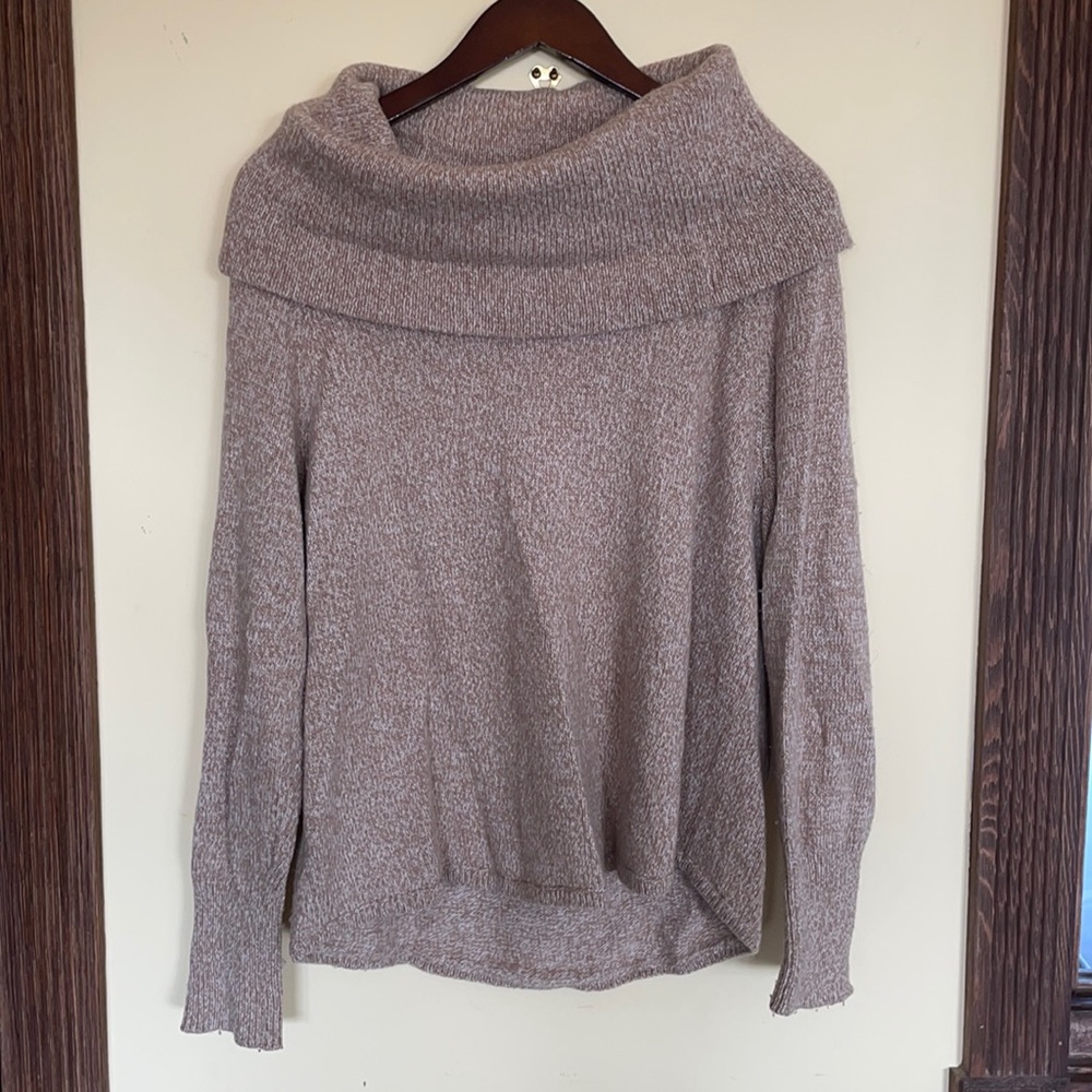 Brown joie sweater